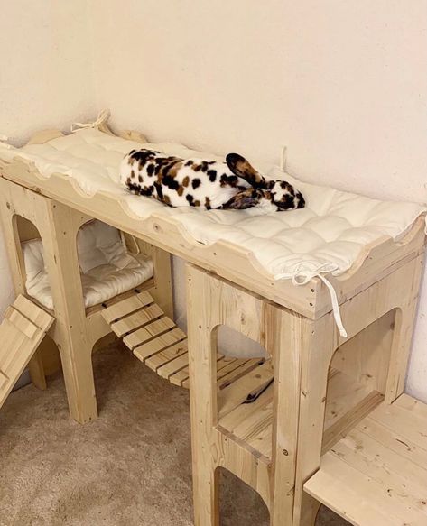 Clearly Loved Pets Rabbit, Bunny Tree House, Rabbit Wooden House, Cool Bunny Cages, Small Bunny Room Ideas, Under Bed Bunny Cage, Indoor Bunny Room Ideas, Rabbit Playpen Indoor, Cute Rabbit House Ideas