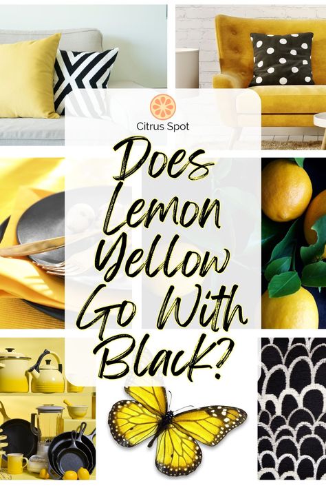 Black Mood Board, Loose Bouquet, Lemon Phone Case, Yellow Words, Black Mood, Yellow Cushions, Light Mint Green, Hamptons Style, Pink Grapefruit