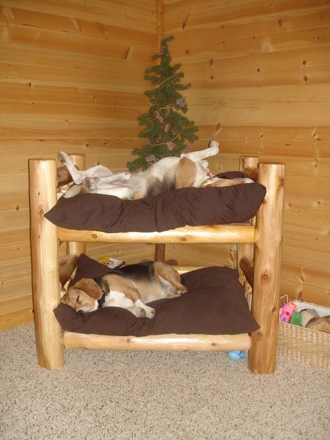 Doggie bunk bed- cute but if I made this for my French Mastiff then I would just buy twin sized bunk beds- he could have the top and the other dogs would share the bottom! Dog Bunk Beds, Diy Dog Bed, Log Furniture, Dog Rooms, Luxury Bedroom, Dog Furniture, A Log, Ocean Views, Dog Houses