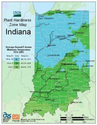 Vegetable Planting Calendar Indianapolis Indiana Vegetable Planting Calendar, Vegetable Planting, Nitrogen Fixation, Plant Hardiness Zone Map, Starting Seeds, Planting Calendar, Plant Zones, Northern Indiana, Starting Seeds Indoors