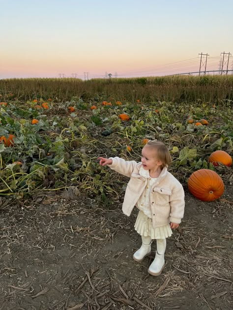 #toddlergirl #fashion #fall #pumpkinpatchoutfit #toddler #neutral #cute #toddlerfashion Fall Toddler Outfits, Fall Pumpkin Patch, Blonde Kids, Toddler Pictures, Toddler Photoshoot, Fall Pics, Pumpkin Patch Outfit, Pumpkin Leaves, Toddler Fall