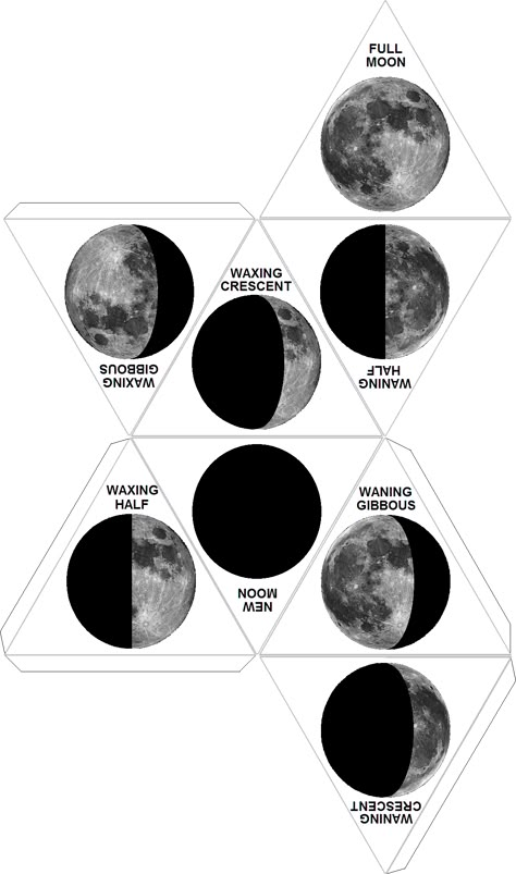 Paper Dice, Jesus Disciples, Moon Ramadan, Sixth Grade Science, Dice Template, Moon Activities, Moon Projects, Space Unit, Islamic Calendar