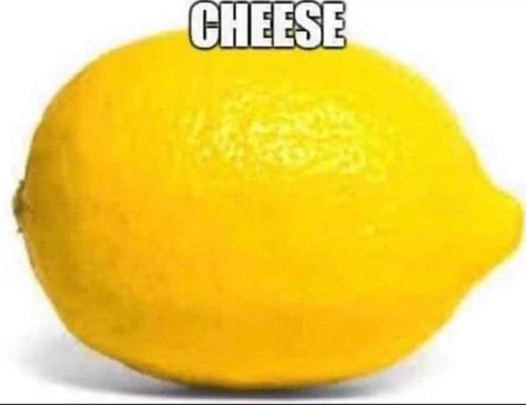 Cheese Meme, Fitness Funny, Fanart Drawing, Fun Girl, Best Drawings, Drawing Artist, Funny Comedy, Oui Oui, Meme Funny