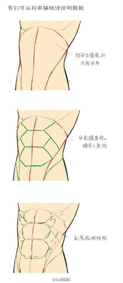 abdomen Desain Buklet, Anatomy Tutorial, Body Drawing Tutorial, Human Anatomy Art, Body Reference Drawing, Body Anatomy, Anatomy Drawing, Poses References, Figure Drawing Reference