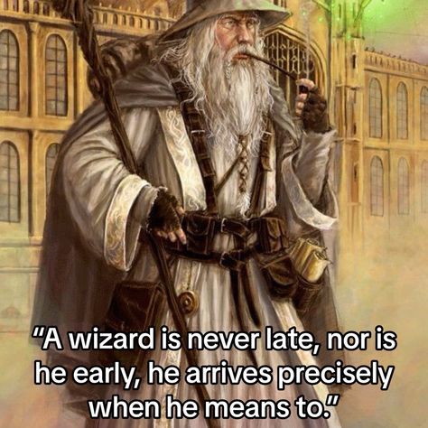 Wizard Activities, Wizard Posting, Wizard Core, Dnd Cosplay, Wizard Dnd, Whimsical Wizard, Literature Humor, Self Deprecating Humor, Doing Me Quotes