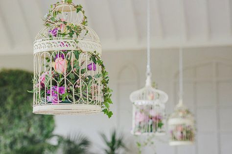 This-Modern-Love-{Amelia-and-Thomas}-Floral-Displays Crom Castle, Wedding In Ireland, Cage Decor, Castle Ireland, Events Business, Bird Cage Decor, Miles Apart, Birdcages, Window Displays