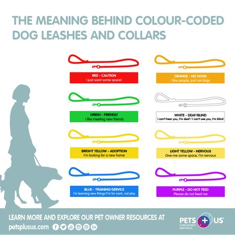 The Meaning Behind Colour-Coded Dog Leashes & Collars | Pets Plus Us Behavior Tips, Service Dog Training, Dog Leashes, Color Meanings, Personalized Dog Collars, Dog Care Tips, Meeting New Friends, Dog Gear, Service Animal