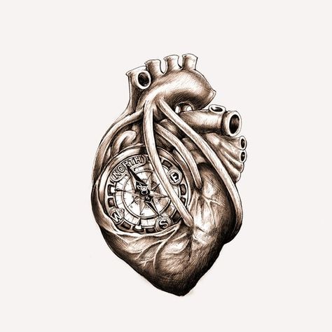 Anatomical Heart Drawing, Anatomical Heart Art, Bow Tattoo Designs, Anatomical Heart Tattoo, Inspiration Illustration, Biomechanical Tattoo, Muster Tattoos, Nautical Tattoo, Bow Tattoo