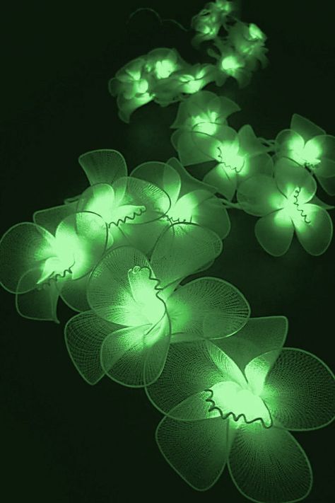 Emerald Green And Gold Aesthetic, Green Aethstetic, Bright Green Aesthetic, Green Neon Aesthetic, Jade Green Wallpaper, Green And Black Aesthetic, Lime Green Aesthetic, Dark Green Plants, Emerald Aesthetic