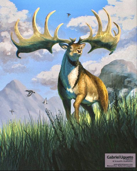 Megaloceros Giganteus, Irish Elk, Deer Species, Deer Art, Extinct Animals, Prehistoric Creatures, Prehistoric Animals, Fantasy Concept Art, Animal Illustration