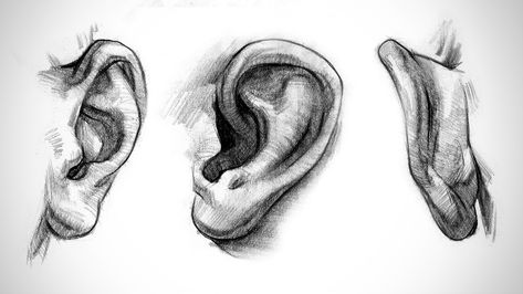 Ears Anatomy, Lips Anatomy, Ear Sketch, Nose Anatomy, Drawing Ears, Anatomy Structure, Human Structure, Ears Drawing, Draw Anatomy