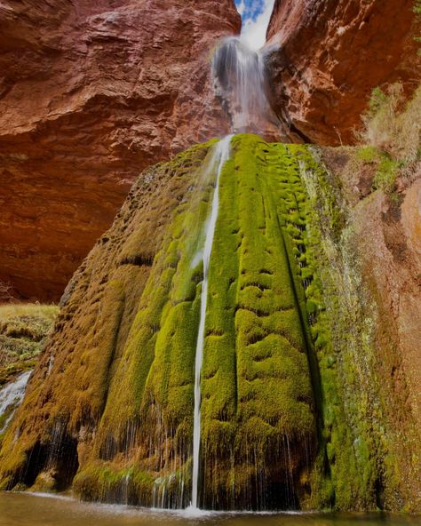 Ribbon Falls in The Grand Canyon Ribbon Falls, Guadalupe Peak, Pond House, Guadalupe Mountains, Carlsbad Caverns, Happy Earth Day, Happy Earth, Forever Grateful, The Memories