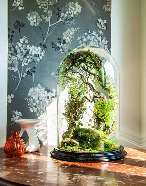 These little enchanted forests are protected from the real world under glass domes and are handcrafted in France from artificial plants, vines, branches, and more - no maintenance required. Self Sustaining Terrarium, Artificial Plant Arrangements, Artificial Plants Indoor, Terrarium Ideas, Artificial Plants Outdoor, Garden Terrarium, Miniature Gardens, Office Plants, Terrarium Plants