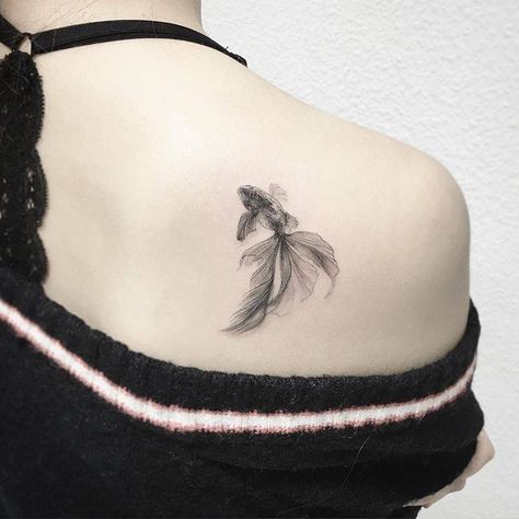 Betta+fish+tattoo+on+the+right+shoulder+blade. Betta Fish Tattoo, Goldfish Tattoo, Tattoo Placements, Single Needle Tattoo, Pisces Tattoos, Koi Tattoo, Pieces Tattoo, Chest Piece Tattoos, Fish Tattoo