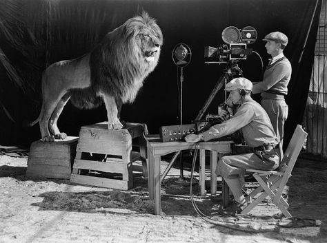 75 Extremely Rare Historial Pictures That Will Completely And Totally Change Your Perspective On The World Mgm Lion, Photos Rares, Rare Historical Photos, Wilde Westen, Metro Goldwyn Mayer, Epic Photos, Historic Photos, Film History, History Photos