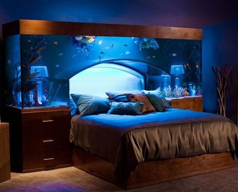 This amazing 650 gallon tank was created by Acrylic Tank Manufacturing  for Jamestown, North Carolina’s Furnitureland South  and was featured on an episode of Animal Planet’s Tanked. Fish Tank Bed, Aquarium Bed, Cool Headboards, Apartemen Studio, Design Ložnic, Amazing Aquariums, Cool Fish Tanks, Casa Clean, Interior Design Per La Casa