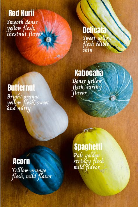 Amazing Winter Squash Recipes and Health Benefits | Eat Well Enjoy Life Acorn Squash Benefits, Acorn Squash Recipe, Squash Noodles Recipes, Butternut Squash Benefits, Winter Squash Varieties, Kabocha Squash Soup, Roasted Kabocha Squash, Squash Noodles, Winter Squash Recipes