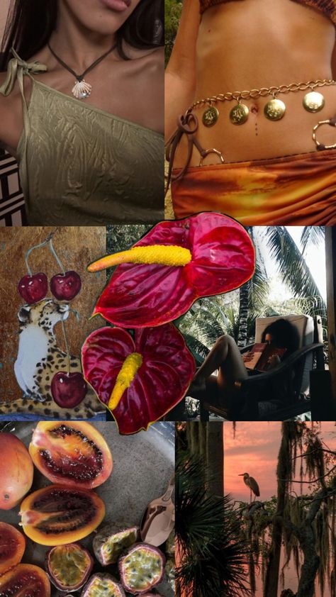 Celebratory Dinner, Vision Collage, Friends Lifestyle, Studera Motivation, Summer Moodboard, Scrolling Through Pinterest, Lifestyle Aesthetic, Italy Trip, Island Girl