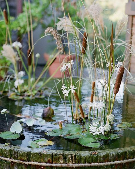 Grassy Wedding Decor Trend Ruffled Roundup Lily Pad Wedding, Hart Floral, Storybook Theme, Anti Bride, Dimensional Shapes, Portland Oregon Wedding, Big Sur Wedding, Flower Wall Wedding, Wedding Reception Flowers