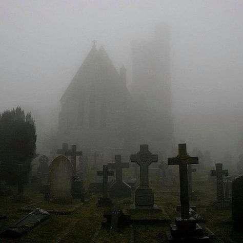 Spiral Direct (@spiraldirect) • Instagram photos and videos Cemeteries Photography, Old Cemeteries, Southern Gothic, Gothic Aesthetic, Goth Aesthetic, The Fog, Dark Places, Six Feet Under, Dark Photography