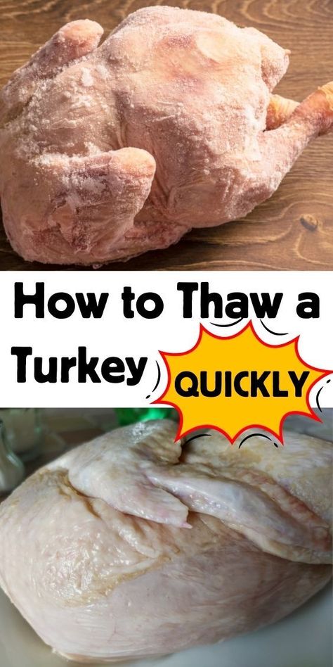 How to Thaw a Turkey Quickly? When To Thaw A Frozen Turkey, Defrost Turkey, Turkey Thaw Time, Defrosting Turkey, Thaw A Turkey, Precooked Turkey, Quick Turkey, Thawing Turkey, Whole Turkey Recipes