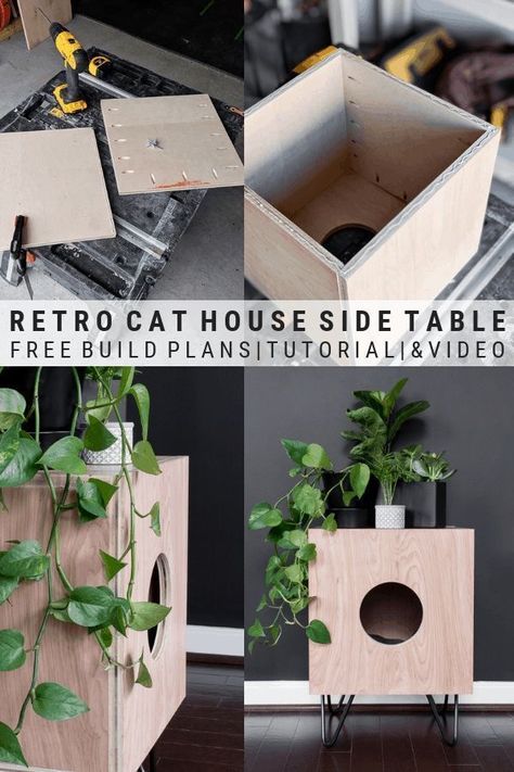 Diy Wood Cat House, Diy Cat Furniture, Diy Cat Stuff, Diy Cat House, Indoor Cat House, Katt Diy, Katt Grejer, Kat Diy, Chat Diy