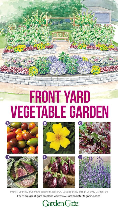 This vegetable garden is beautiful enough to go in the front yard #GrowYourOwn #VegetableGardening #GardenPlan #CurbAppeal #GardenGateMagazine Front Yard Vegetable Garden, Yard Vegetable Garden, Gemüseanbau In Kübeln, Potager Garden, Garden Types, Edible Landscaping, Home Vegetable Garden, Container Gardening Vegetables, Vegetable Garden Design