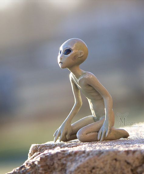 Alien Embryo, Tall Whites Aliens Earth, Alien Doll Repaint, Clay Alien Sculpture, Alien Sculpture, Alien Crafts, Clay People, Grey Alien, The Paranormal