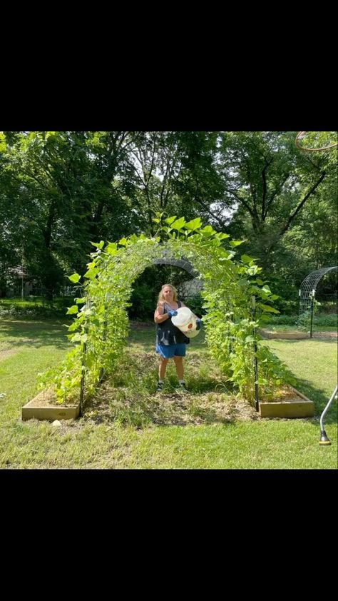 jollygardens720 on Instagram: Pretty soon, this green bean arch will be full again! Can’t wait! This year, we’re growing Rattlesnake pole beans up and over the arch,… Bean Arch, Bush Beans, Pole Beans, Texas Gardening, Farm Gardens, Gardening For Kids, Backyard Garden, Green Beans, Arch