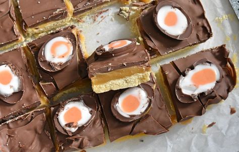 Recipes For Biscuits, Homemade Hobnobs, Chocolate Hobnobs, Fridge Cake, Creme Eggs, Easy Puddings, Terry's Chocolate Orange, Homemade Custard, Millionaire Shortbread