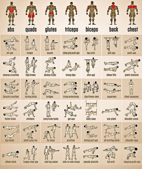 Trening Sztuk Walki, Gym Antrenmanları, Gym Workout Chart, Gym Workouts For Men, Workout Posters, Trening Fitness, Abs And Cardio Workout, Calisthenics Workout, Weight Training Workouts