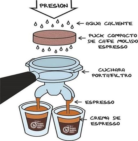 Barista Tips, Coffee Knowledge, Coffee Tumblr, Coffee Varieties, Coffee Barista, Coffee Plant, Coffee Pictures, Bulletproof Coffee, Coffee Girl