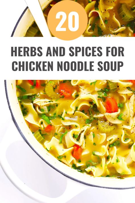 20 Best Herbs and Spices for Chicken Noodle Soup Chicken Less Noodle Soup, Spices For Chicken Soup, Chicken Soup Spices, Chicken Noodle Soup Spices, Seasoning For Chicken Noodle Soup, Chicken Noodle Soup Seasoning, Spices For Chicken, Best Chicken Noodle Soup Recipe, Chicken Soup Seasoning