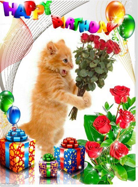 Happy Birthday Animals, Happy Birthday Cat, Cat Friends, Funny Happy Birthday Wishes, Birthday Image, Birthday Cat, Birthday Wishes Flowers, Birthday Greetings Friend, Happy Birthday Wishes Photos