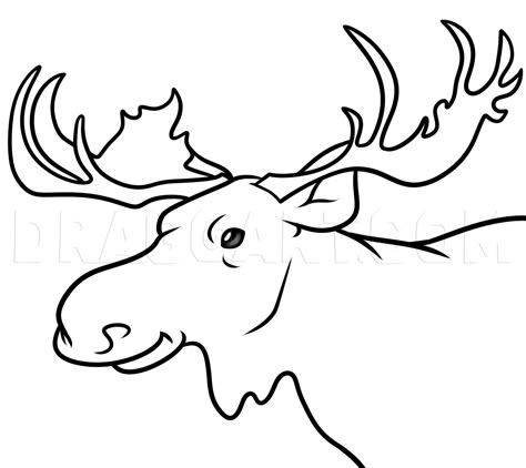 Moose Head Drawing Tutorial, Step by Step, Drawing Guide, by Dawn | dragoart.com Christmas Canvas Ideas, Moose Drawing, Pics For Drawing, Alcohol Bottle Crafts, Funny Moose, Travel Sketching, Christmas Woodland, Moose Head, Draw With Me