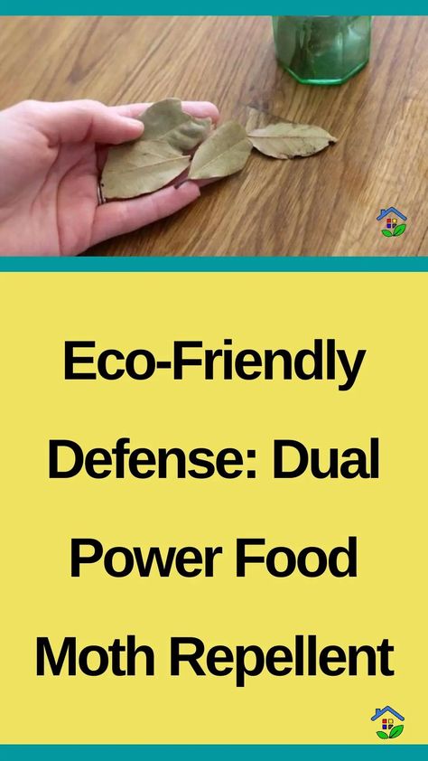 Introducing the ultimate solution to your food moth woes: a natural and potent dual-action repellent that provides double the power in keeping these pesky pests away. This innovative dual-action food moth repellent combines the power of natural ingredients to provide an effective defense against food moth infestations. It harnesses the potency of plant-based extracts known […] Moth Repellent, Natural Food, Diy Food, Repellent, Moth, Defense, Natural Ingredients, Plant Based, Create Yourself