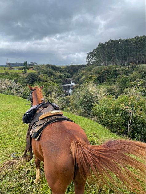 Hawaiian Life, Hawaii Farm, Hawaii Lifestyle, Travel Aesthetic Hawaii, Big Island Hawaii Aesthetic, Hawaii Horseback Riding, Hiking Aesthetic Hawaii, Byu Hawaii, Horses In Hawaii