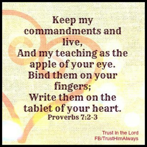 Proverbs 7:2-3 Keep My Commandments, Proverbs 7, The Book Of Proverbs, Messianic Judaism, Bible Topics, Book Of Proverbs, Understanding The Bible, God's Wisdom, Word Of Faith