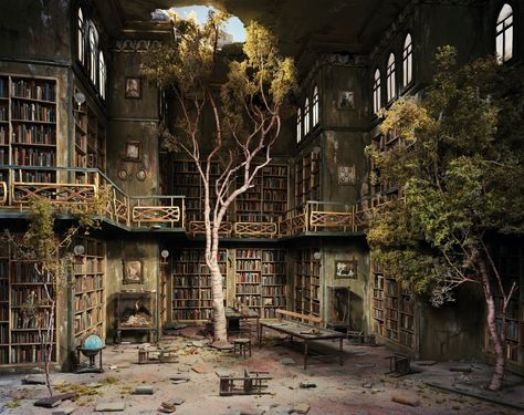 The Library from 'The City' series. Image: Lori Nix. Dystopian Art, Erwin Olaf, Dystopian Aesthetic, Guiyang, Apocalypse Aesthetic, Magic Places, Dystopian Books, Old Library, Cindy Sherman