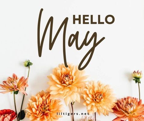 200 Welcome May Quotes Happy May 1st Quotes, May 1st Quotes, May 1 Quotes, Hello May Quotes, Welcome May, May Quotes, Hello April, May 1st, Happy May