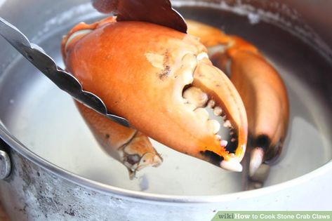 Jonah Crab Claws Recipe, Crab Claw Recipes, Easy Lobster Tail Recipe, Stone Crab Claws, Cooking Crab, Lobster Recipes Tail, Stone Crab, Crab Claw, Yummy Seafood