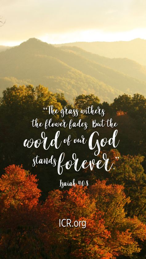 "The grass withers, the flower fades, But the word of our God stands forever." (Isaiah 40:8) Save our October lockscreen for your phone wallpaper. We hope you enjoy this free faith-bolstering reminder throughout October. The Grass Withers And The Flowers Fade, October God Quotes, The Grass Withers The Flower Fades, October Bible Verses, Fall Wallpaper Bible Verse, Scripture With Fall Background, Fall Themed Bible Verses Wallpaper, Isaiah 40:8, Bible Verse Autumn Background