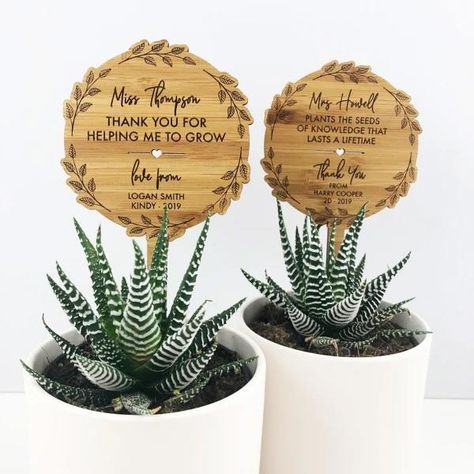 Best teacher gifts: Say thank you in the nicest way | Bounty Parents Box Regalo, Bamboo Flower, Appreciation Gifts Diy, Teacher Appreciation Gifts Diy, Teachers Day Gifts, Staff Appreciation, Pot Plant, Cadeau Diy, Great Teacher Gifts