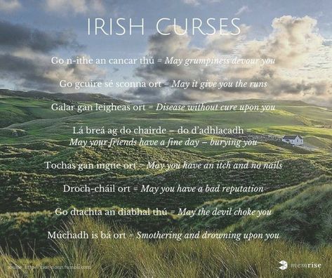 Irish Gaelic Words, Irish Curse, Irish Gaelic Language, As Gaeilge, Gaelic Language, Irish Sayings, Gaelic Words, Irish Words, Irish Things