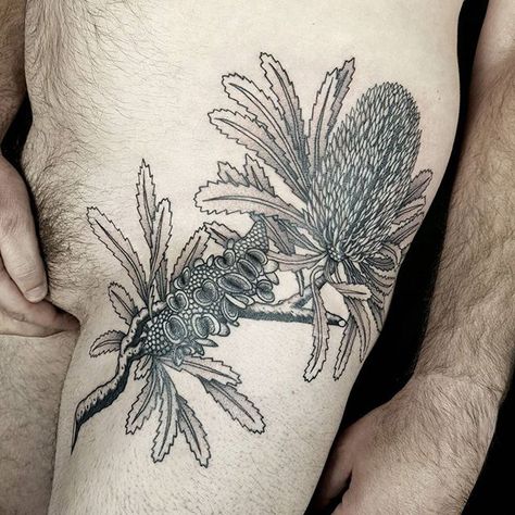 Banksia serrata on my good friend Joseph. @paulstillen Australian Tattoo, Native Tattoos, Art Alevel, Australian Native Flowers, Australian Flora, Chest Piece, Tattoo Stickers, Neck Tattoo, Blue Ink