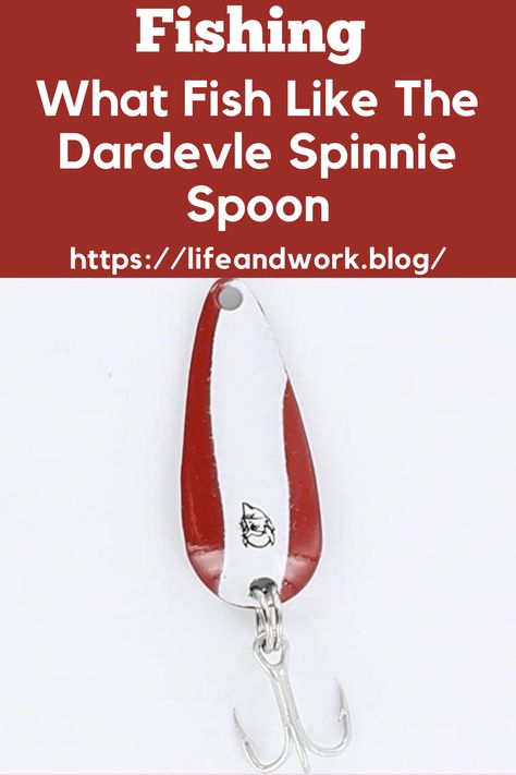 What Fish Like The Dardevle Spinnie Spoon Best Bass Lures, Best Fishing Lures, Fishing Spoons, Bass Lures, Bass Fishing Tips, Walleye Fishing, Fishing Techniques, Largemouth Bass, Types Of Fish