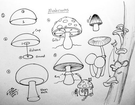 How To Draw A Mushroom Step By Step, Mushroom Bullet Journal, Drawing Ideas Nature, Draw Mushrooms, Drawing Ideas Flowers, Trin For Trin Tegning, Flowers And Mushrooms, Mushroom Drawing, Doodle Inspiration