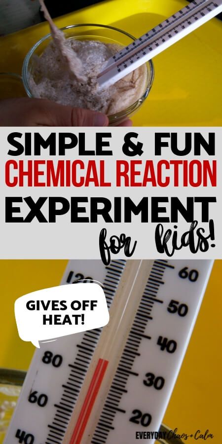 Chemistry Activities, Chemistry For Kids, Chemical And Physical Changes, Experiment For Kids, Middle School Science Experiments, Chemical Science, Chemistry Experiments, 6th Grade Science, Chemical Reaction