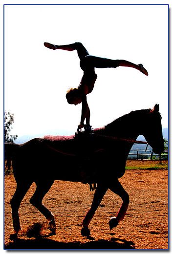 The moment When Sydney's private providers see the potential in her is the moment the relationship changes from a job and an appointment to a commitment through faith. Equestrian Vaulting, On Horseback, Slide Show, Handstand, Vaulting, The Horse, A Horse, Ny Times, Equestrian