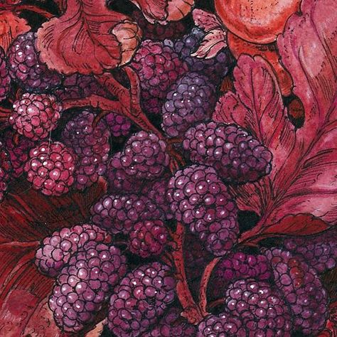 Lauren Marx on Instagram: "Mulberries! Little cute berries in my “Red” limited edition print coming out this Saturday at 10am CST Made by layering watercolor, pen, colored pencil, and gel pens! #laurenmarxart #illustration #drawingoftheday #drawing #art #artoftheday #instaart #instaartist #watercolor #originalart #traditionalart #smallbusiness #print #artistsoninstagram #artofinstagram #artcollector #limitededition #print #fineart #lowbrowart #berry #fruit #mulberry #lowbrow" Mulberry Drawing, Mulberry Illustration, Mulberry Aesthetic, Mulberry Tree, Berry Fruit, Aesthetic Board, Fruit Illustration, Lowbrow Art, Wild Berry